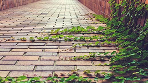 maintaining brick pavers