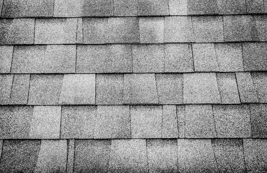 shingle roof