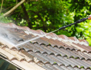 roof power washing