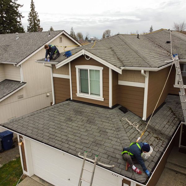roof and gutter cleaning services