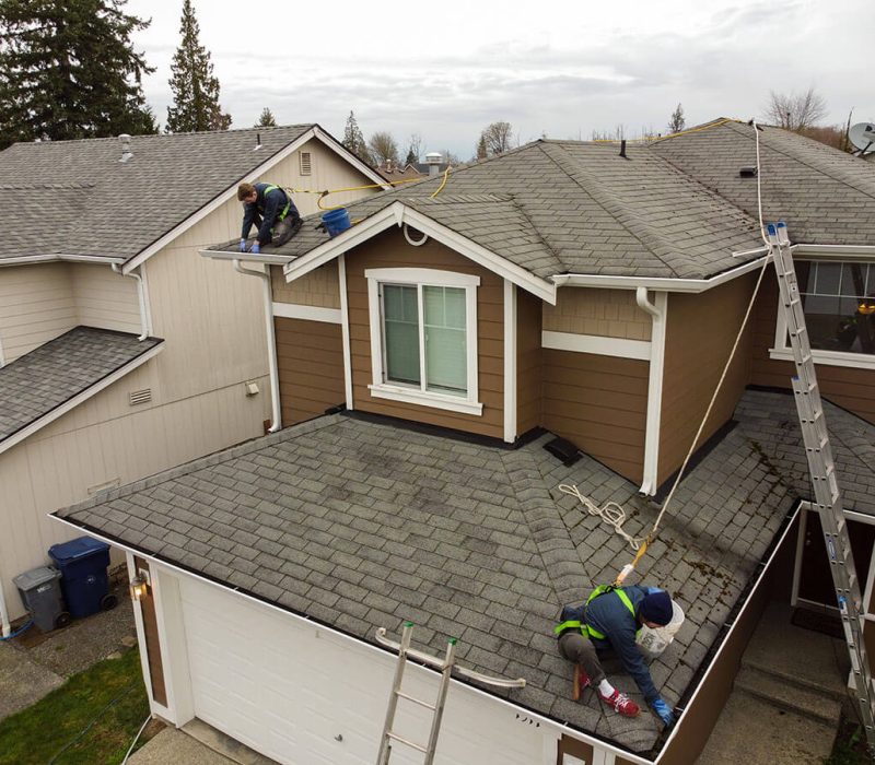 roof and gutter cleaning services