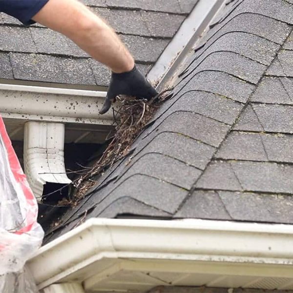 gutter cleaning professional cleaning gutter and part of roof clean