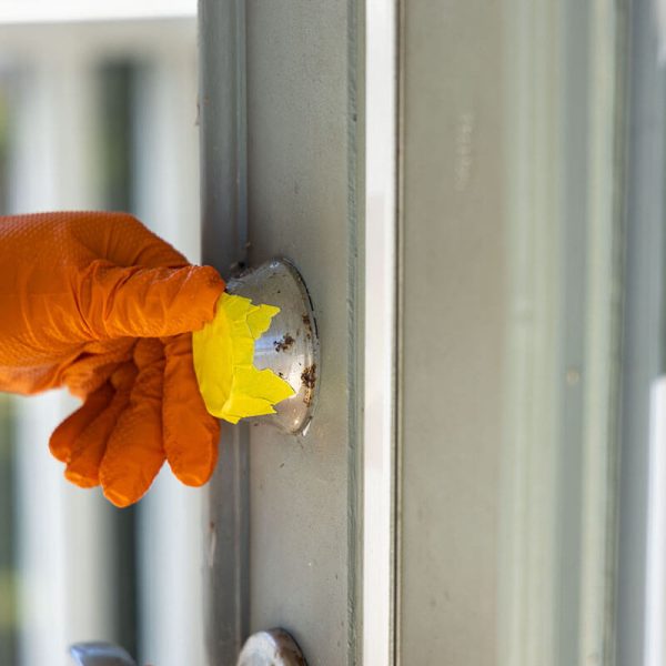 pressure washing professional protecting door