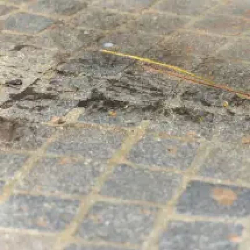 brick paver sealing service